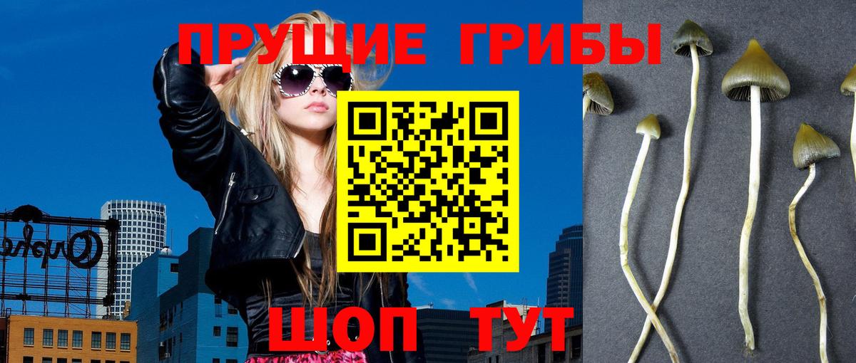 Псилоцибиновые грибы Cubensis  Вход с VPN  что такое наркотик  Санкт-Петербург 