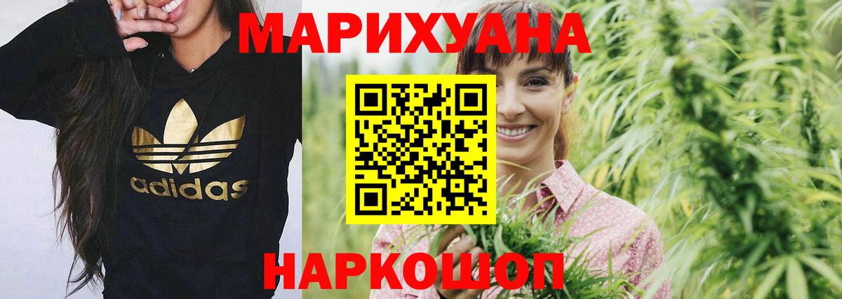 Каннабис сатива Санкт-Петербург